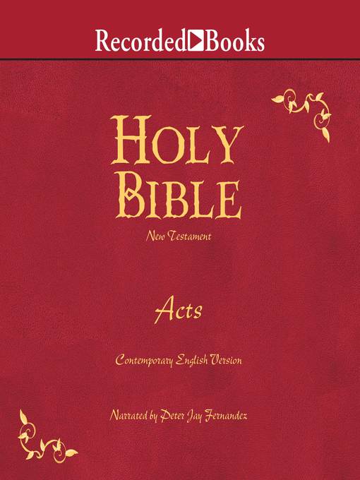 Cover image for Holy Bible Acts